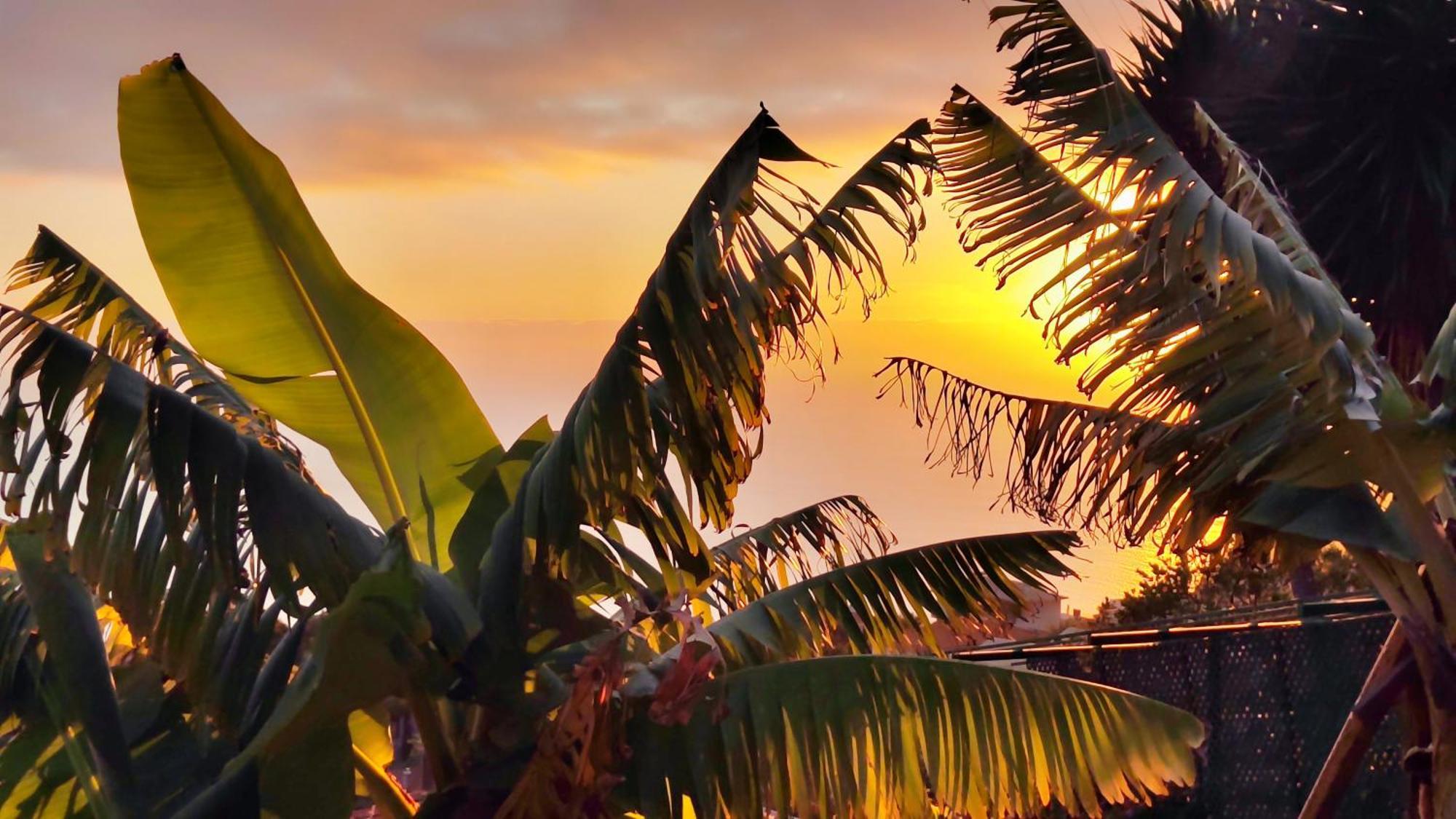 Vista Romantica Madeira อาร์โกดากาเลียตา ภายนอก รูปภาพ