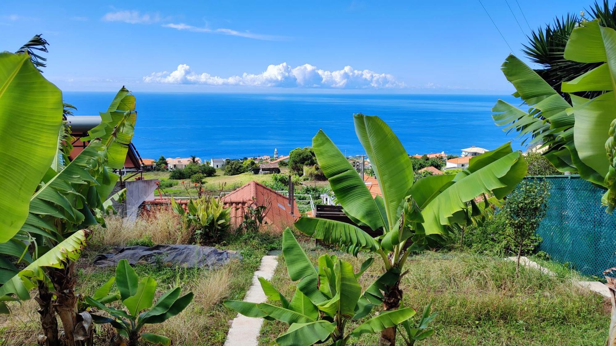 Vista Romantica Madeira อาร์โกดากาเลียตา ภายนอก รูปภาพ